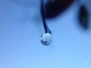 Tersiiska Blue Water Drop