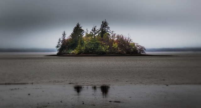 Estuary Island